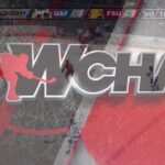 Alaska vs. Ferris State | Nov. 30, 2018