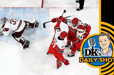 DK's Daily Shot of Penguins: What's Silovs shown?