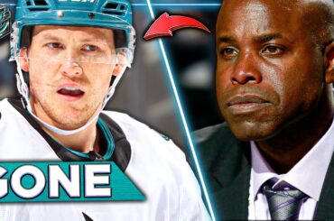 Sharks make SHOCKING move... This is WILD