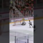 Andrej Sustr första mål i Kalmar (Kalmar HC mot Vimmerby HC i Hockeyallsvenskan i Sverige) (#Shorts)