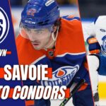 Oilers News | Matt Savoie | Adam Henrique | Team Update