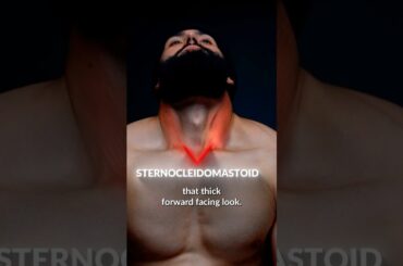 Just 2 Exercises = Thick Neck