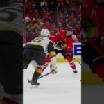 action (and fun) all season long ‼️