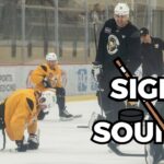Sights and sounds: Penguins practice getting heated?