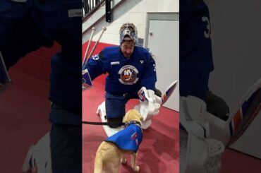 The New York Islanders Had a Surprise Guest at Practice - Marty the Dog!