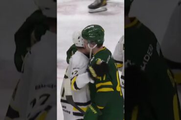 Känslosam match för Marcus Björk och Christoffer Björk (IF Björklöven mot AIK Hockey) (#Shorts)