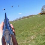 Hunting - Goose and wood pigeon