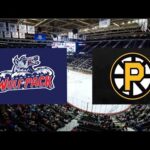 hartford wolf pack VS Providence Bruins | AHL Live Stream  2/8/2026
