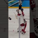 Filip Hronek + Lukáš Dostál