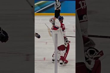 Filip Hronek + Lukáš Dostál