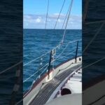 Rare Perfect Cruising #westsail32 #sailboat #bahamas