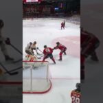 Snygg räddning av Erik Källgren (Brynäs IF mot Luleå HF Coop Norrbotten Arena SHL Sverige) (#Shorts)