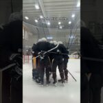 It's Geno's world and we're all just living in it 😂