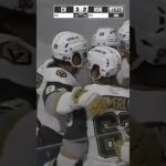 What a dish by Lukas Cormier 🍎!! #VegasBorn #AHL #NewBrunswick