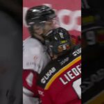 Martin Schreiber matchstraff (Malmö Redhawks mot Luleå HF i Coop Norrbotten Arena i SHL) (#Shorts)