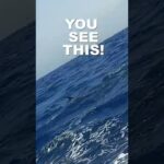 This is terrifying 😳