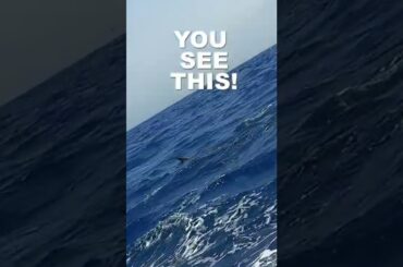 This is terrifying 😳