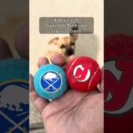Cujo’s NHL PICKS | Buffalo Sabres vs New Jersey Devils 🐕 02-25-2026 #CujoCatches