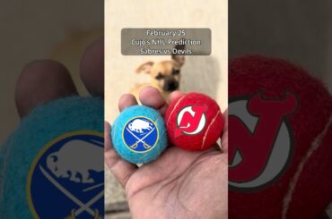 Cujo’s NHL PICKS | Buffalo Sabres vs New Jersey Devils 🐕 02-25-2026 #CujoCatches