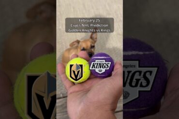 Cujo’s NHL PICKS | Vegas Golden Knights vs Los Angeles Kings 🐕 02-25-2026 #CujoCatches