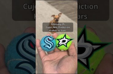 Cujo’s NHL PICKS | Seattle Kraken vs Dallas Stars 🐕 02-25-2026 #CujoCatches