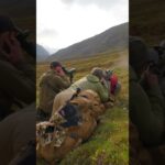 Chasing a Dream – Brad Brooks’ Epic Dall Sheep Hunt