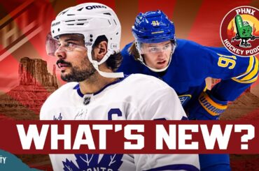 Who Are the People Behind Bringing the NHL Back to Arizona?