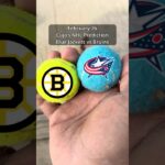 Cujo’s NHL PICKS | Columbus Blue Jackets vs Boston Bruins 🐕 02-26-2026 #CujoCatches