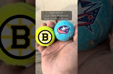 Cujo’s NHL PICKS | Columbus Blue Jackets vs Boston Bruins 🐕 02-26-2026 #CujoCatches