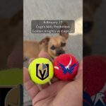 Cujo’s NHL Picks | Vegas Golden Knights vs Washington Capitals 🏒 02-27-2026 #CujoCatches