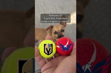 Cujo’s NHL Picks | Vegas Golden Knights vs Washington Capitals 🏒 02-27-2026 #CujoCatches