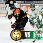 Brynäs vs Rögle | 26 feb 2026 | Highlights