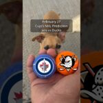 Cujo’s NHL Picks | Winnipeg Jets vs Anaheim Ducks 🏒 02-27-2026 #CujoCatches