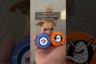 Cujo’s NHL Picks | Winnipeg Jets vs Anaheim Ducks 🏒 02-27-2026 #CujoCatches