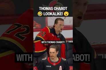 Chabot... or Cha-NOT?! 😳