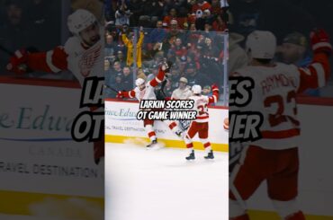 Dylan Larkin scores OT game-winner in first game back from the Olympics