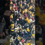 Bonus Clip: Blackhawks fans fighting in the stands - Blackhawks @ Predators 2/26/26 #preds #hawks
