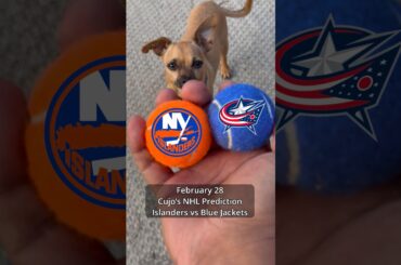 Cujo’s NHL Picks | New York Islanders vs Columbus Blue Jackets 🏒 02-28-2026 #CujoCatches