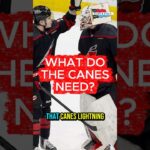 Carolina Hurricanes MUST Fix 2nd Line Center Before NHL Trade Deadline