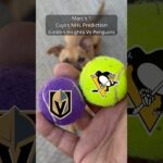 Cujo’s NHL Picks | Vegas Golden Knights vs Pittsburgh Penguins 🏒 03-01-2026 #CujoCatches