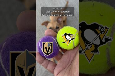 Cujo’s NHL Picks | Vegas Golden Knights vs Pittsburgh Penguins 🏒 03-01-2026 #CujoCatches