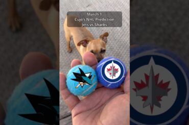 Cujo’s NHL Picks | Winnipeg Jets vs San Jose Sharks 🏒 03-01-2026 #CujoCatches