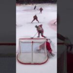 Snyggt mål av Pontus Andreasson (Luleå HF mot Timrå IK Coop Norrbotten Arena SHL Sverige) (#Shorts)