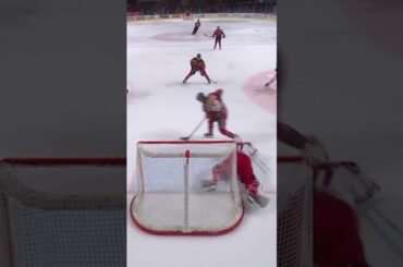 Snyggt mål av Pontus Andreasson (Luleå HF mot Timrå IK Coop Norrbotten Arena SHL Sverige) (#Shorts)