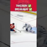 Stolen and stuffed... SHORTHANDED 🥶