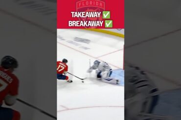 Stolen and stuffed... SHORTHANDED 🥶