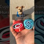 Cujo’s NHL Picks | Carolina Hurricanes vs Seattle Kraken 🏒 03-02-2026 #CujoCatches