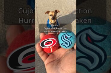 Cujo’s NHL Picks | Carolina Hurricanes vs Seattle Kraken 🏒 03-02-2026 #CujoCatches