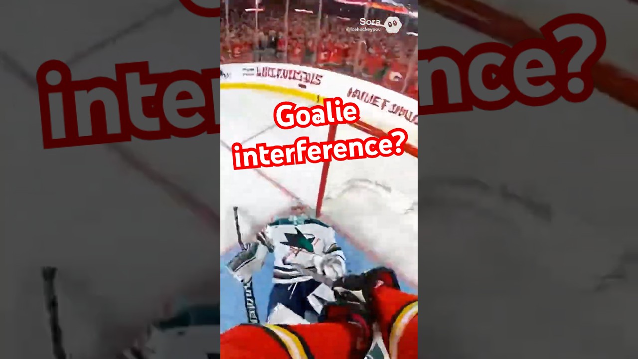 WAS THIS GOALIE INTERFERENCE? HE DIDN'T STAND A CHANCE… 🤯🥅