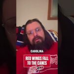 Red Wings Fall to Hurricanes What Happened
